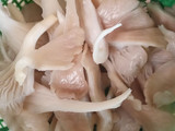 Sop jamur