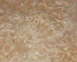 रिंग मैगी (Ring Maggi recipe in Hindi) रेसिपी चरण 2 फोटो