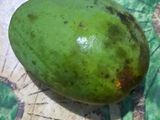 Cacapan hampalam