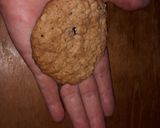 Foto del paso 9 de la receta: Galletitas de avena y pasas