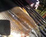 Foto del paso 3 de la receta: Pescado de río a la parrilla (boga)