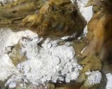 Foto langkah ke 3 dari resep Ayam goreng krispi.