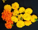 A picture of step 1 of Marigold Flower Tea.