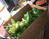 Foto del paso 2 de la receta: Canelones de verduras 🤤