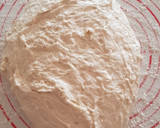 A picture of step 7 of No Knead Rustic Bread.