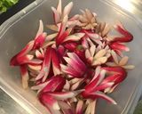 Une image de l'étape 8 de Salade de tomates,scarole,céleri et thon aux radis « fleurs ».