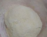 Foto del paso 3 de la receta: Pizza ! Receta de masa y salsa