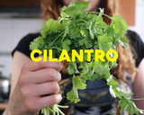 Foto del paso 2 de la receta: Carne en su jugo