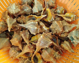 Foto del paso 1 de la receta: Cañaíllas cocidas