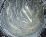 Foto langkah ke 3 dari resep Kulit lumpia homemade, lentur kenyal anti gagal.