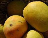 मैंगो शेक (Mango shake recipe in hindi) रेसिपी चरण 1 फोटो
