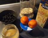 Cheesecake con fiocchi di avena,albicocche e gelsi