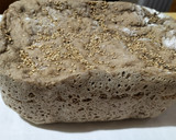 Foto del paso 15 de la receta: Pan integral con copos de avena y sésamo en panificadora