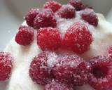 Rasberry ice cream dessert