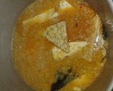 Foto langkah ke 3 dari resep Lodeh tatem(tahu tempe).