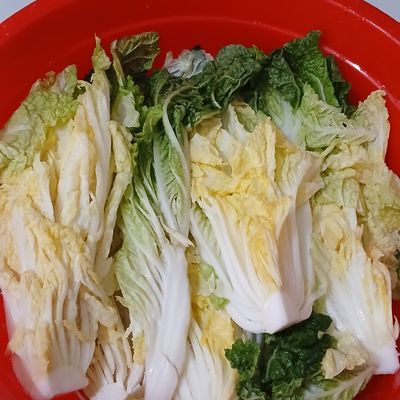 Langkah 4