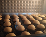 Foto langkah ke 6 dari resep Nastar Glowing.