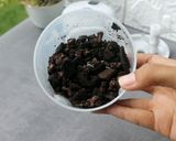 Foto langkah ke 2 dari resep Puding Sutra Box 1 Bungkus Agar-Agar Jadi 4 Macam Rasa.