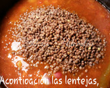 Foto del paso 17 de la receta: Lentejas a la jardinera