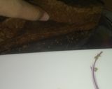A picture of step 10 of Chocolate Pastry with Ceremal/ Chocolate Ganache Frosting.