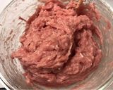 萝卜炖 · 火鸡肉丸（鸡肉丸也好吃哦）的食譜步驟1照片