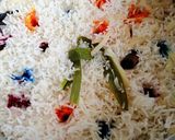 Gambar langkah 5 resipi Nasi hujan panas merdeka #ChefZam.