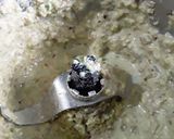 A picture of step 2 of Pista chicken.