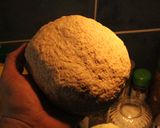 Foto del paso 1 de la receta: Pai espinacoso y King Crimsoneado