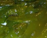 Foto del paso 2 de la receta: Pasta con nata de soja verde (pimiento)