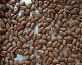Foto del paso 3 de la receta: Snack Saludable