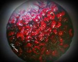 Hình bước làm 2 của món Mứt - Siro Hibiscus