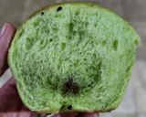 Foto langkah ke 11 dari resep Roti Pandan Talas Isi Srikaya.