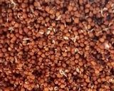 A picture of step 2 of Super Healthy Sprouted Ragi Dosa.