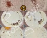 A picture of step 1 of Flavour Infused Iced Latte In Four Different Types.