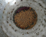 முருங்கைக்காய் சாம்பார் ரெசிபி ஸ்டேப் 3 புகைப்படம்