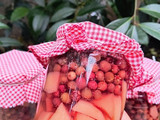 Conserva de murta y membrillo