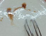 A picture of step 1 of Eggless Chocolate Cake with Nutella.