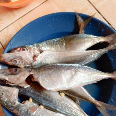 Langkah 1