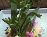Foto langkah ke 1 dari resep Sop SIMPLE  Bumbu Geprek Aroma Rempah.
