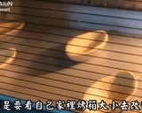 檸檬塔的食譜步驟15照片