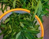 Foto langkah ke 1 dari resep Kalumpe (Karuang) Daun Singkong khas KalTeng.