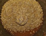 Foto del paso 2 de la receta: LICUADOS 1 2 3 🍒🍓🥝🍎🍌