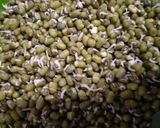 A picture of step 1 of Sprouts salad.