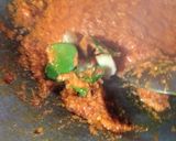 Foto langkah ke 2 dari resep Asam Pedas Ikan Bandeng.