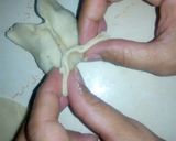 A picture of step 5 of Wontons.