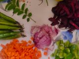 সূজির উপমা (Sujir Upama)