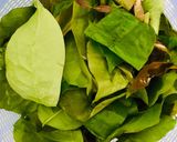 Hình bước làm 1 của món Canh lá nhíp rừng