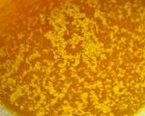 Une image de l'étape 2 de Paella maison en cocotte 😃.