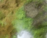 صورة لخطوة 4 من وصفة عجينه الفلافل المصريه