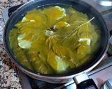 Foto del paso 16 de la receta: Hojas de Parra rellenas de carne picada con menta y cítricos